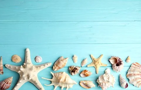 Flat lay composition with beautiful starfishes and sea shells on blue wooden  Foto stock