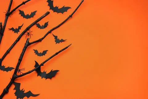 Flat lay composition with black branches, paper bats and spiders on orange ba Stock Photos