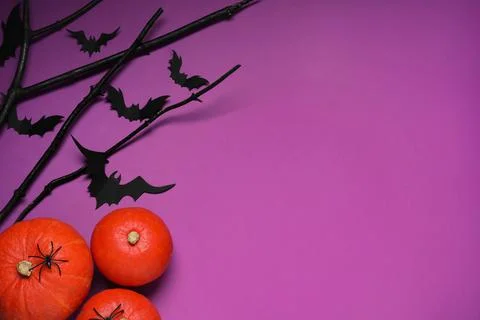 Flat lay composition with black branches, paper bats and pumpkins on purple b Stock Photos