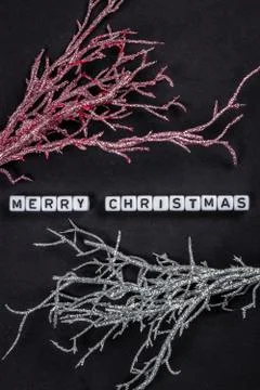 Flat lay composition on black paper background with tree roots or branches co Photos