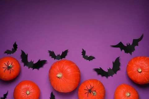 Flat lay composition with black paper bats and pumpkins on purple background, Stock Photos