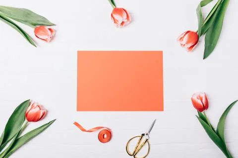 Flat lay composition of blank red greeting card Stock Photos
