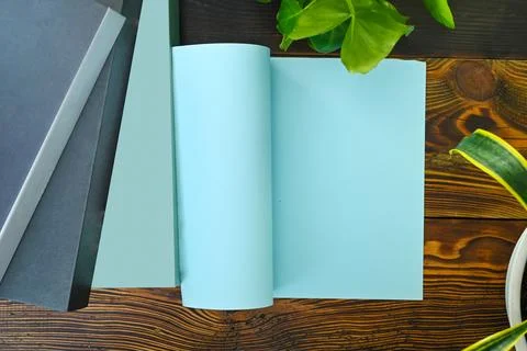 Flat lay composition with a blue notepad, dark books, and green leaves on a.. Foto stock