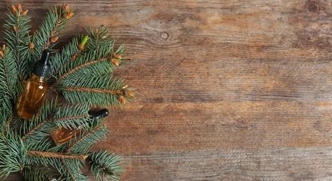 Flat lay composition with bottles of conifer essential oil and space for text Stock Photos