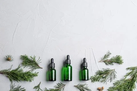 Flat lay composition with bottles of conifer essential oil and space for text Stock Photos