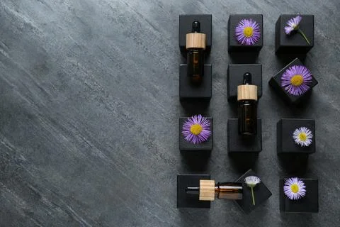 Flat lay composition with bottles of essential oil and beautiful flowers on d Stock Photos