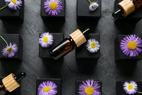 Flat lay composition with bottles of essential oil and beautiful flowers on d Stock Photos