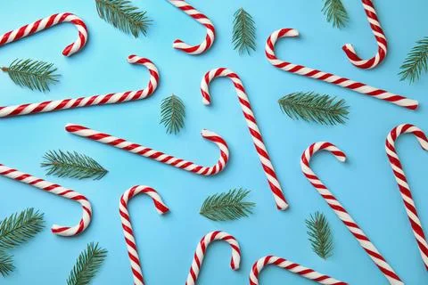 Flat lay composition with candy canes and fir tree branches on light blue bac Stock Photos