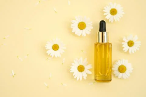 Flat lay composition with chamomiles and cosmetic oil Stock Photos