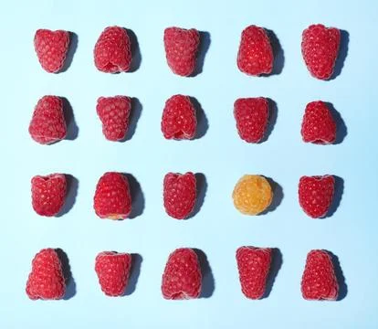 Flat lay composition with delicious ripe raspberries on blue background 写真素材