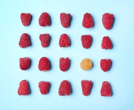 Flat lay composition with delicious ripe raspberries on blue background Stock Photos