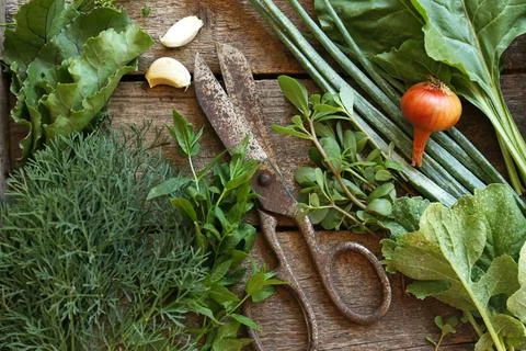 Flat lay composition with different herbs and rusty scissors on wooden table Stock Photos