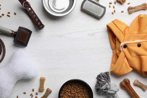 Flat lay composition with dog clothes, food and accessories on white wooden t Stock Photos
