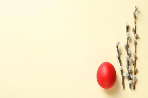 Flat lay composition of Easter egg and willow branches on color background, s Foto stock