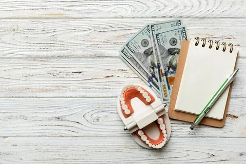 Flat lay composition with educational dental typodont model and money with no Stock Photos
