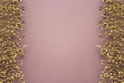 Flat lay composition of flowers of linen, the flax plant photo on pink, brown Foto stock