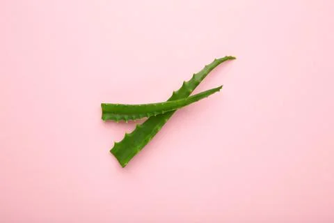 Flat lay composition with fresh aloe vera leaves and space for text on pink b Stock Photos