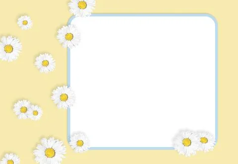 Flat lay composition with fresh chamomiles and white frame on yellow background Stock Photos