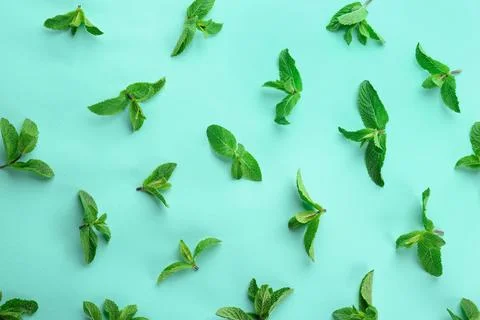 Flat lay composition with fresh mint leaves on color background Foto stock