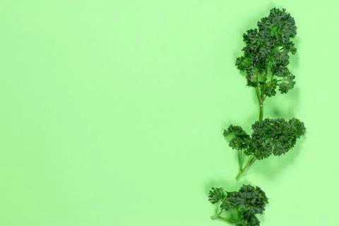 Flat lay composition with fresh parsley on color background. Stock Photos