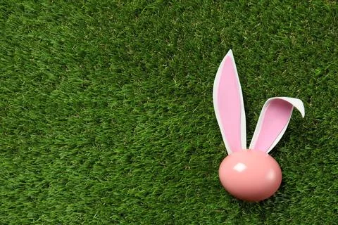Flat lay composition of funny Easter bunny ears and dyed egg on green grass,  스톡 사진