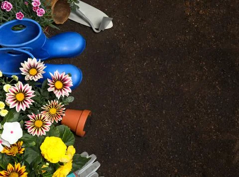 Flat lay composition with gardening tools and flowers on soil, space for text Stock Photos