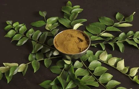 Flat lay composition of green tea leaves and coffee cup Stock Photos