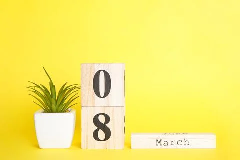 Flat lay composition March 8 wooden calendar with succulent on a yellow backg Stock Photos