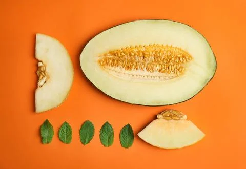 Flat lay composition with melon and mint leaves on color background Stock Photos