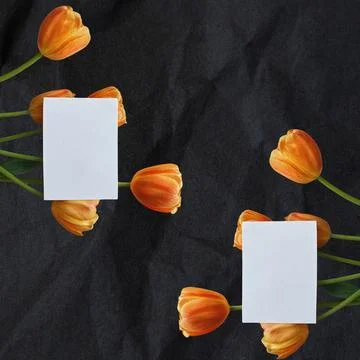 Flat Lay Composition of Orange Tulips and Two Blank White Cards on Black Texture Stock Photos
