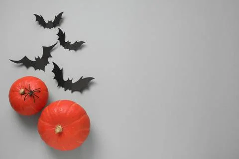 Flat lay composition with paper bats, spider and pumpkin on light grey backgr Stock Photos