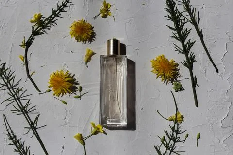 A flat lay composition of a perfume bottle with copy space for your logo Photos