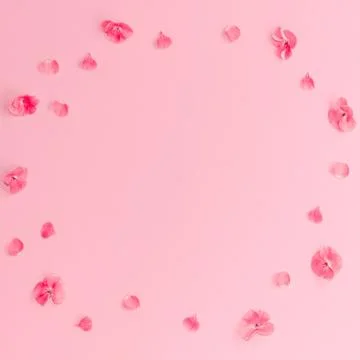 Flat lay composition of pink flowers in a circle on pastel pink background. Stock Photos
