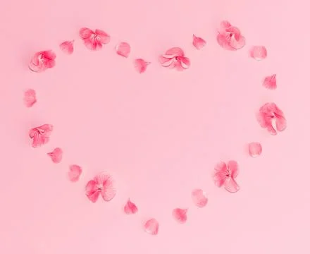 Flat lay composition of pink flowers in a shape of heart on pastel pink Stock Photos