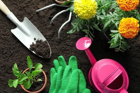 Flat lay composition with plants and professional gardening tools on soil 写真素材