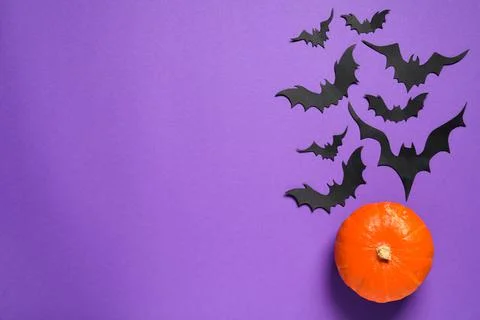 Flat lay composition with pumpkin and paper bats on purple background, space  Stock Photos