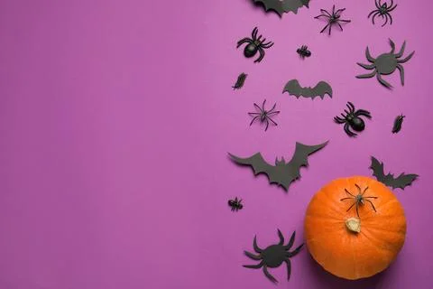 Flat lay composition with pumpkin, spiders and paper bats on purple backgroun Stock Photos