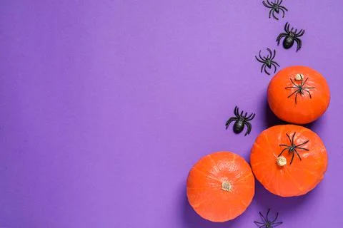 Flat lay composition with pumpkins and spiders on purple background, space fo Stock Photos
