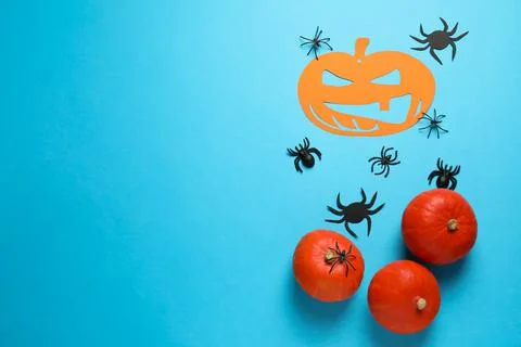 Flat lay composition with pumpkins and spiders on light blue background, spac Stock Photos