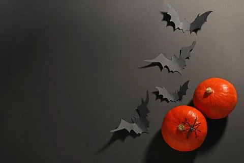 Flat lay composition with pumpkins, paper bats and spider on black background Stock Photos
