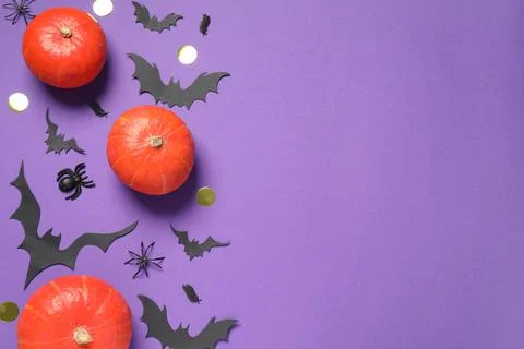 Flat lay composition with pumpkins, paper bats and spiders on purple backgrou Stock Photos