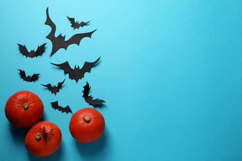 Flat lay composition with pumpkins, paper bats and spider on light blue backg Stock Photos