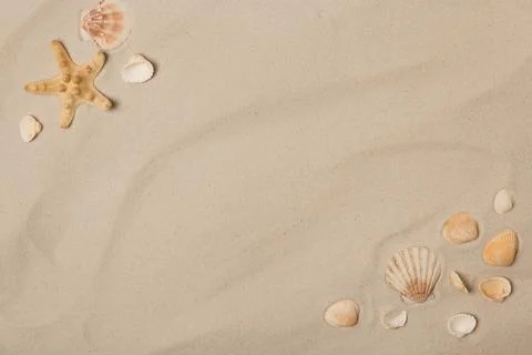 Flat lay composition with sea shells, starfish and space for text on beach sa Foto stock