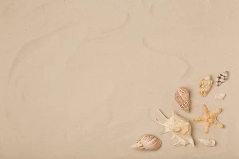 Flat lay composition with sea shells, starfish and space for text on beach sa Foto stock