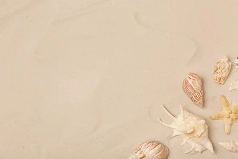 Flat lay composition with sea shells, starfish and space for text on beach sa Foto stock