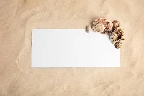 Flat lay composition with sea shells and blank card on sand, space for text Foto stock