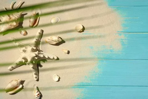 Flat lay composition with seashells, beach sand and space for text on wooden  Stock Photos