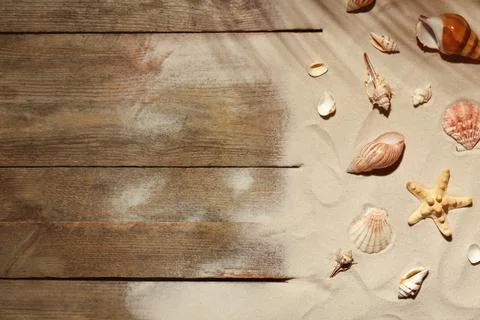 Flat lay composition with seashells, beach sand and space for text on wooden  스톡 사진