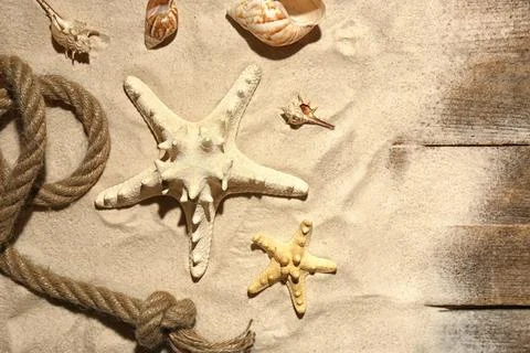 Flat lay composition with seashells, beach sand and space for text on wooden  Stock-Fotos