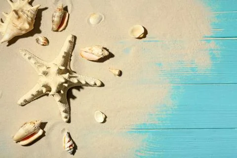 Flat lay composition with seashells, beach sand and space for text on wooden  Stock-Fotos